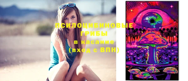 дживик Балахна
