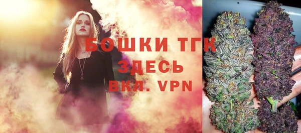 дживик Балахна